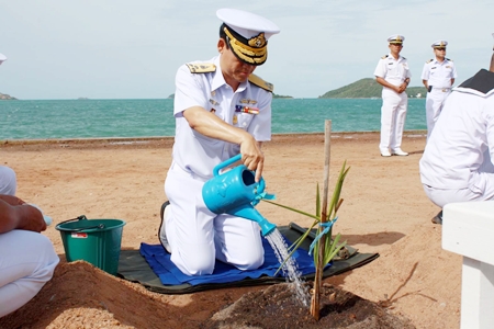 Planting a tree